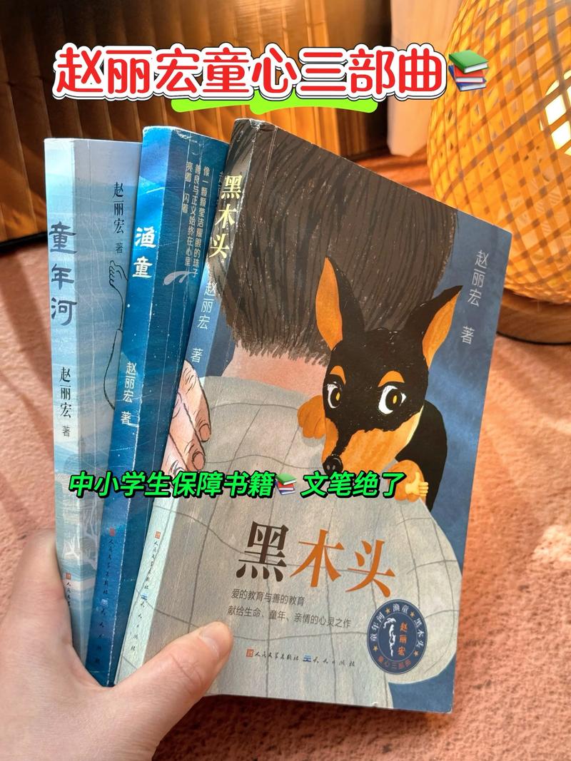 2013年中国好书的评选标准 2013年中国好书的评选标准